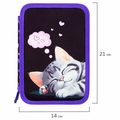 Пенал BRAUBERG, 3 отделения, полиэстер, 21&times;14 см, &laquo;Sleeping kitten&raquo;, 273538