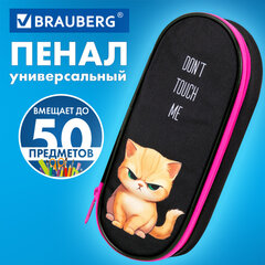 Пенал-футляр BRAUBERG, 1 отделение, органайзер, полиэстер, 22&times;9&times;5 см, &laquo;Angry kitty&raquo;, 273566