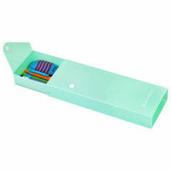 Пенал пластиковый BRAUBERG, 1 отделение, на кнопке, 20&times;7 см, ассорти, &laquo;Pastel&raquo;, 273770