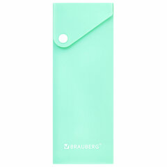 Пенал пластиковый BRAUBERG, 1 отделение, на кнопке, 20&times;7 см, ассорти, &laquo;Pastel&raquo;, 273770