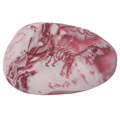 Ластик фигурный FUNSTER (ФАНСТЕР) &laquo;ПАЛЕОНТОЛОГ&raquo;, цвета ассорти, пакет, 274017