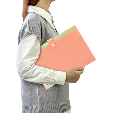 Папка-органайзер на кнопке 5 отделений, BRAUBERG "Extra", А4, персиковая с мятным, 274097 - фото 8