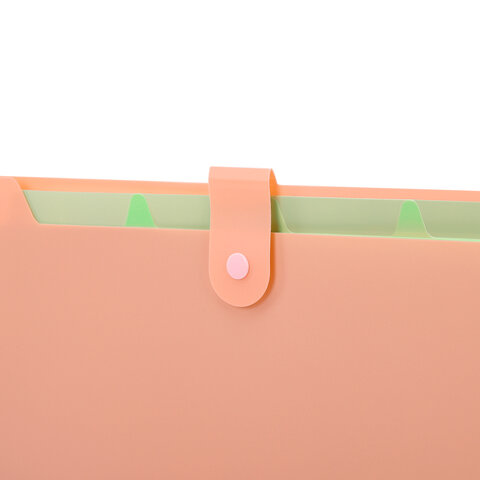 Папка-органайзер на кнопке 5 отделений, BRAUBERG "Extra", А4, персиковая с мятным, 274097 - фото 5