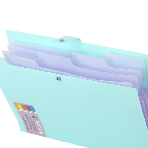 Папка-органайзер на кнопке 5 отделений, BRAUBERG "Extra", А4, голубая с лиловым, 274099 - фото 4