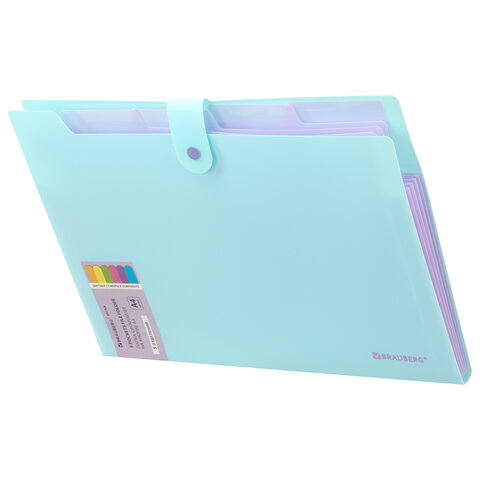 Папка-органайзер на кнопке 5 отделений, BRAUBERG "Extra", А4, голубая с лиловым, 274099 - фото 2
