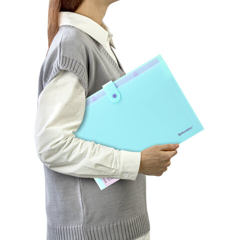 Папка-органайзер на кнопке 5 отделений, BRAUBERG "Extra", А4, голубая с лиловым, 274099 - фото 8