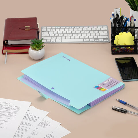 Папка-органайзер на кнопке 5 отделений, BRAUBERG "Extra", А4, голубая с лиловым, 274099 - фото 7