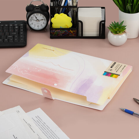 Папка-органайзер на кнопке 5 отделений, BRAUBERG "Extra", А4, пастельные узоры, 274100 - фото 7