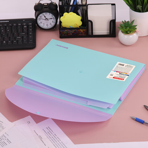 Папка-органайзер конверт на кнопке 6 отделений, BRAUBERG "Extra", A4, голубая с лиловым, 274104 - фото 7