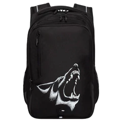 Рюкзак GRIZZLY школьный, анатомическая спинка, 3 отделения, для мальчиков, "ANGER", 42х31х22 см, RU-538-4/1