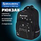 Рюкзак BRAUBERG SOFT, 2 отделения, 3 кармана, "Tough cat", СВЕТЯЩИЙСЯ, 40х31х15 см, 274401
