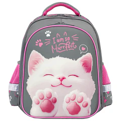 Ранец BRAUBERG KIDS STANDARD, 2 отделения, &laquo;Кот-мурлыка&raquo;, 36&times;28&times;14 см, 274427