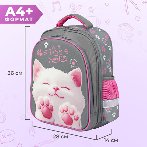Ранец BRAUBERG KIDS STANDARD, 2 отделения, Purr cat, 36х28х14 см, 274427
