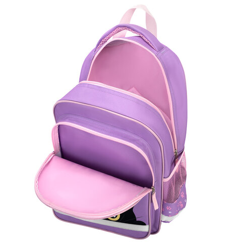 Рюкзак ПИФАГОР SCHOOL, 1 отделение, 3 кармана, "Observer cat", 38x28х14 см, 274437 - фото 6