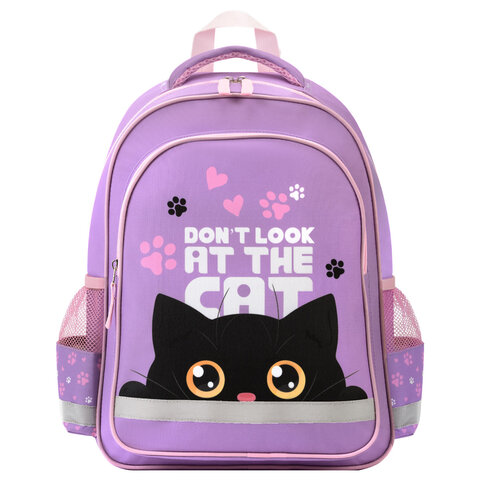 Рюкзак ПИФАГОР SCHOOL, 1 отделение, 3 кармана, "Observer cat", 38x28х14 см, 274437 - фото 2