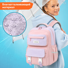 Рюкзак SNOOBAG (СНУБЭГ) PROACTIVE, 2 отделения, 7 карманов, "Нежность", сиреневый, 40х29х17 см, 274446
