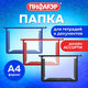 Папка для тетрадей А4 ПИФАГОР, пластик, молния сверху, прозрачная, АССОРТИ, 274471