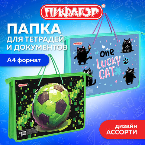 Папка на молнии с ручками ПИФАГОР А4, 1 отделение, пластик, ручки-шнурок, АССОРТИ, 274473 - фото 2