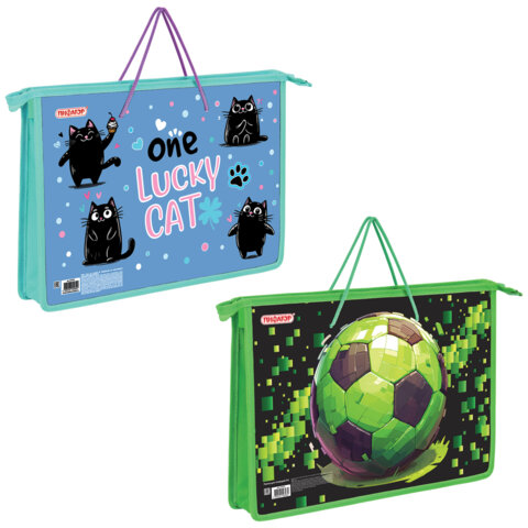 Папка на молнии с ручками ПИФАГОР А4, 1 отделение, пластик, ручки-шнурок, АССОРТИ, 274473