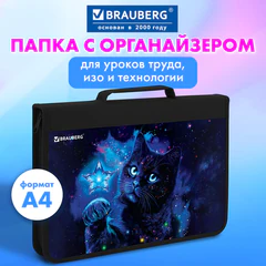 Папка на молнии BRAUBERG А4 с ручкой, с органайзером, 1 отделение, "Star cat", 274475