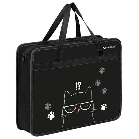 Папка на молнии с ручками BRAUBERG А4, 1 отделение, пластик, 80 мм, "Tough cat", 274493