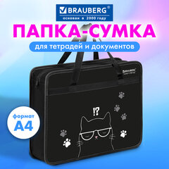 Папка на молнии с ручками BRAUBERG А4, 1 отделение, пластик, 80 мм, "Кот с характером", 274493