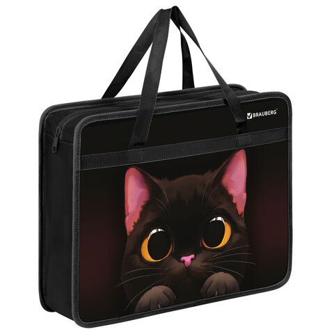 Папка на молнии с ручками BRAUBERG А4, 1 отделение, пластик, 80 мм, "Big black cat", 274495