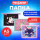 Папка для тетрадей ПИФАГОР А5, 1 отделение, пластик, на молнии, АССОРТИ для девочек, 274522