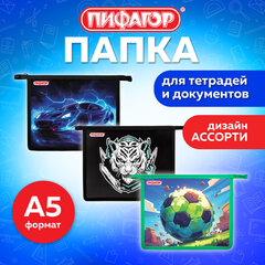 Папка для тетрадей ПИФАГОР А5, 1 отделение, пластик, на молнии, АССОРТИ для мальчиков, 274523