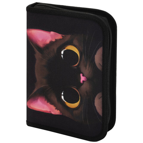����� BRAUBERG � �����������, 1 ���������, 1 �������� ������, 24 ��������, 21�14 ��, "Big black cat", 274617 �����