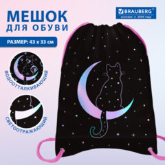 Мешок для обуви BRAUBERG PREMIUM, карман, подкладка, светоотражайка, 43х33 см, "Лунный кот", 274645