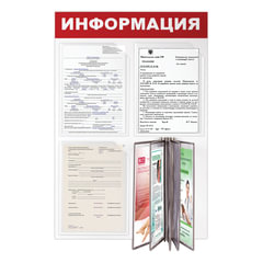 Доска-стенд &laquo;Информация&raquo; 50&times;75 см, 3 плоских кармана А4 + 5 демопанелей А4, ЭКОНОМ, BRAUBERG, 291010