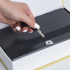 Сейф-книга &laquo;12 стульев&raquo;, 60&times;170&times;240 мм, ключевой замок, BRAUBERG, 291058