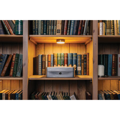 Ящик для денег, ценностей, документов, печатей, 90&times;180&times;250 мм, ключевой замок, серебристый, BRAUBERG, 291059