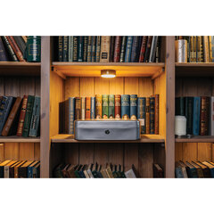 Ящик для денег, ценностей, документов, печатей, 90&times;240&times;300 мм, ключевой замок, серебристый, BRAUBERG, 291060