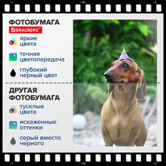 Фотобумага глянцевая, А4, 180 г/м2, односторонняя, 100 листов, ПАКЕТ, BRAUBERG ORIGINAL, 364417