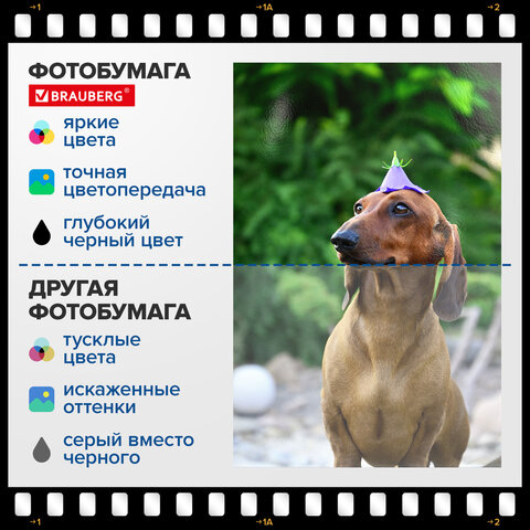 Фотобумага глянцевая, А4, 230 г/м2, односторонняя, 100 листов, ПАКЕТ, BRAUBERG ORIGINAL, 364421