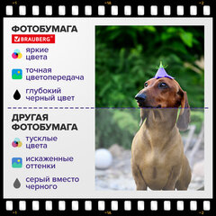 Фотобумага матовая, 10х15 см, 230 г/м2, односторонняя, 100 листов, ПАКЕТ, BRAUBERG ORIGINAL, 364423