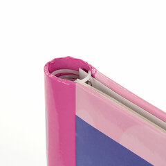 Фотоальбом BRAUBERG на 20 магнитных листов, 23&times;28 см, &laquo;Дивный луг&raquo;, розовый, 390686