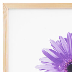 Рамка премиум 40&times;50 см, дерево, багет 18 мм, &laquo;Sasha&raquo;, светло-коричневая, 0011-16-0000