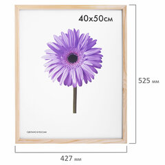 Рамка премиум 40&times;50 см, дерево, багет 18 мм, &laquo;Sasha&raquo;, светло-коричневая, 0011-16-0000