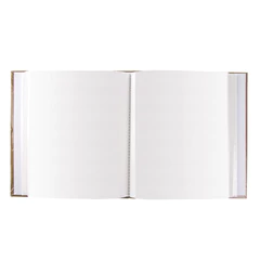 Фотоальбом BRAUBERG на 200 фото 10&times;15 см, твердая обложка, &laquo;Париж&raquo;, бежевый, 391122