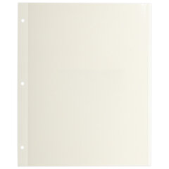 Листы для фотоальбома магнитные 23&times;28 см, КОМПЛЕКТ 10 шт., BRAUBERG, 391312