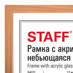 Рамка 30&times;40 см небьющаяся, КОМПЛЕКТ 2 шт., багет 17 мм, МДФ под дерево, STAFF &laquo;Carven&raquo;, цвет светлое дерево, 391327