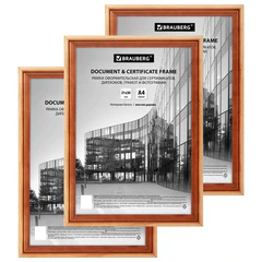 Рамка 21&times;30 см небьющаяся, КОМПЛЕКТ 3 шт., багет 20 мм дерево, BRAUBERG &laquo;Business&raquo;, цвет светлое дерево, 391353