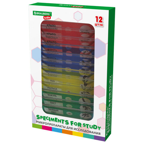 Микроскоп 30 предметов,в т.ч. 12 микропреп., 100/400/1200х подсветка,BRAUBERG KIDS, 391400