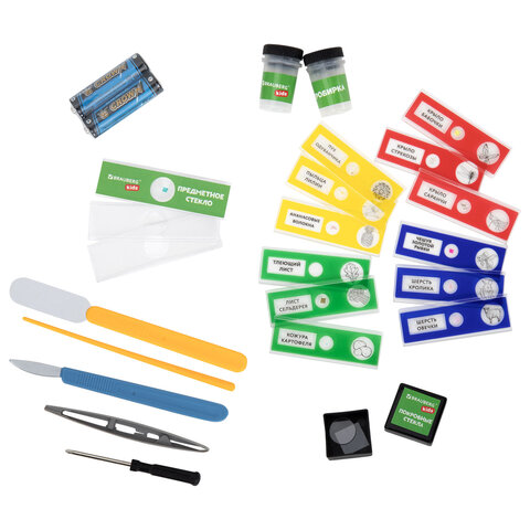 Микроскоп 30 предметов,в т.ч. 12 микропреп., 100/400/1200х подсветка,BRAUBERG KIDS, 391400