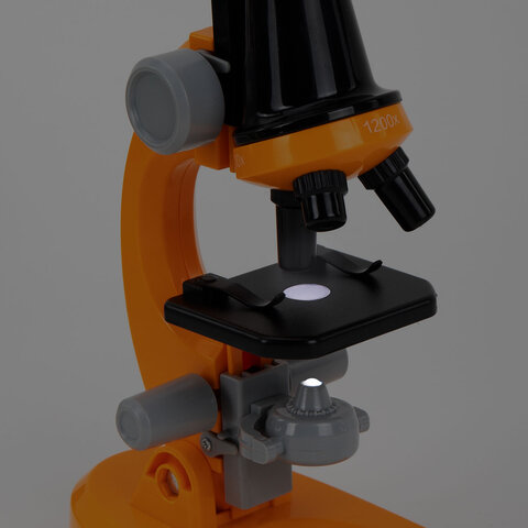 Микроскоп 30 предметов,в т.ч. 12 микропреп., 100/400/1200х подсветка,BRAUBERG KIDS, 391400