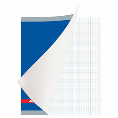 Тетрадь А5, 48 л., BRAUBERG скоба, клетка, обложка картон, &laquo;INDAY&raquo;, 400518