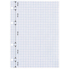 Сменный блок для тетради на кольцах, А5, 120 л., BRAUBERG, &laquo;Белый&raquo;, 403260